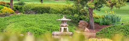 Japanese Garden - Cowra 